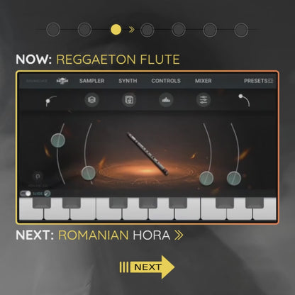 reggaeton flute type beat with balkan plugin